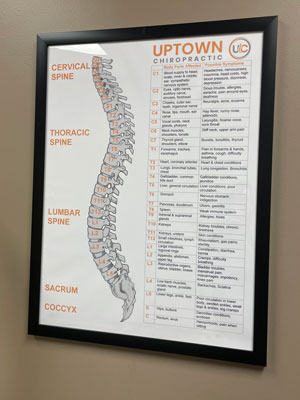 Chiropractic Minneapolis MN Chart